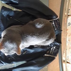 Leather biker jacket in black.Slate & Willow Small